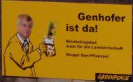 Grüne Gentechnik: Auch hier ist Seehofers Verhalten inkonsequent. Foto: Archiv