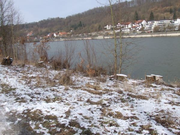 Ein neues Bepflanzungskonzept soll das aktuelle "Stoppelfeld" wieder attraktiv machen. (Foto: hb)