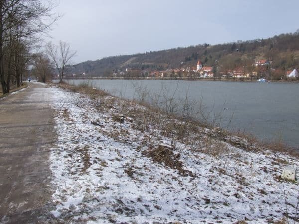     Laut WSA wurden wasserseitig nur an Dammabschnitten Bäume gefällt. (Foto: hb)