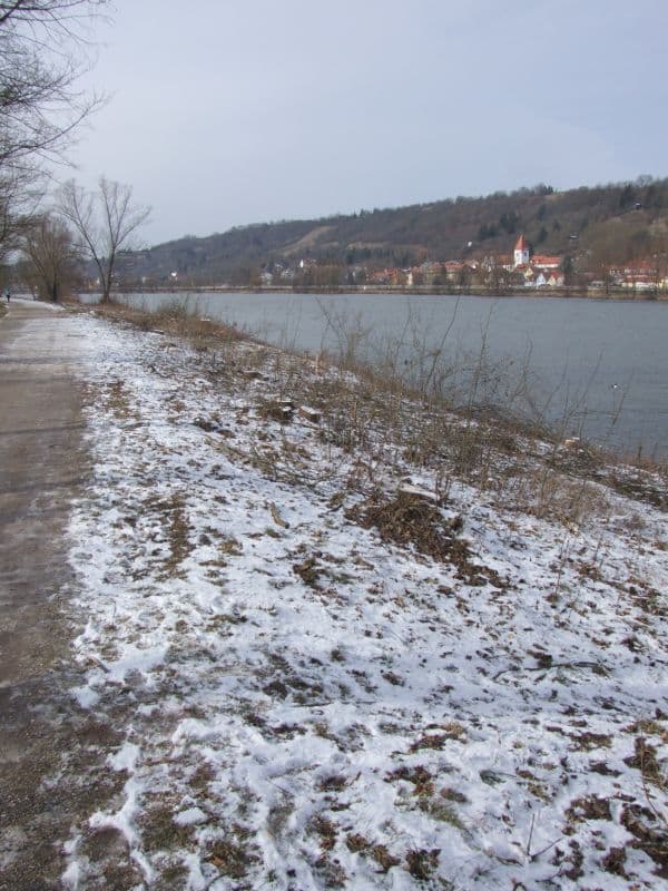 Ein "Stoppelfeld" an Baumstümpfen entlang des Donau-Ufers. (Foto: hb)
