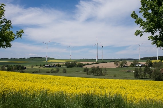 Windpark Töpen (1)