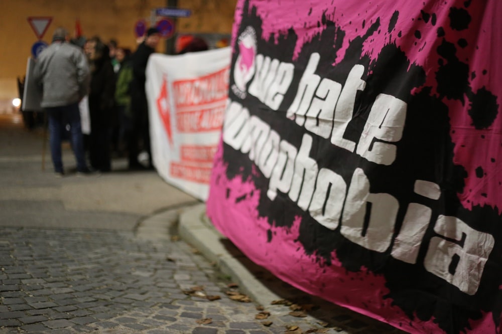 Etwa 80 Gegendemonstranten zeigten gegen die AfD-Veranstaltung Präsenz. Foto: ld.