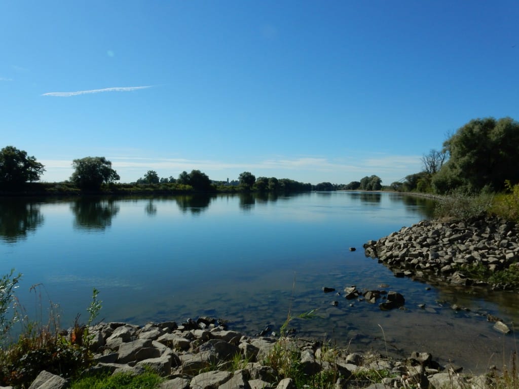 An der Donau gibt es für die ökologische Aufwertung noch viel zu tun, und weitere Ausbaumaßnahmen sind möglichst naturverträglich durchzuführen, wie z. B. bei Reibersdorf, östlich von Straubing, im Zuge des Ausbaus der Wasserstraße Straubing-Vilshofen.