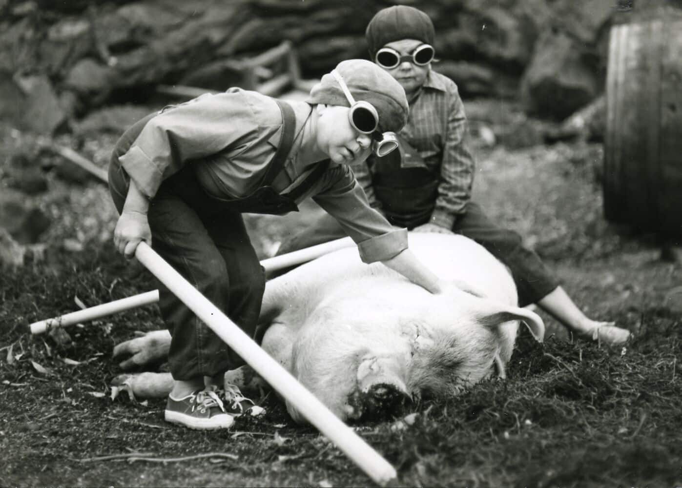 Filmstill aus „Auch Zwerge haben klein angefangen" von Werner Herzog. Der Film wird beim 7. HEIMSPIEL Filmfest zu sehen sein. Bild: HEIMSPIEL Filmfest.