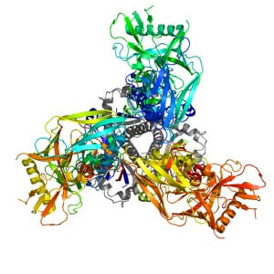 HIV Hüllprotein _ Aufsicht