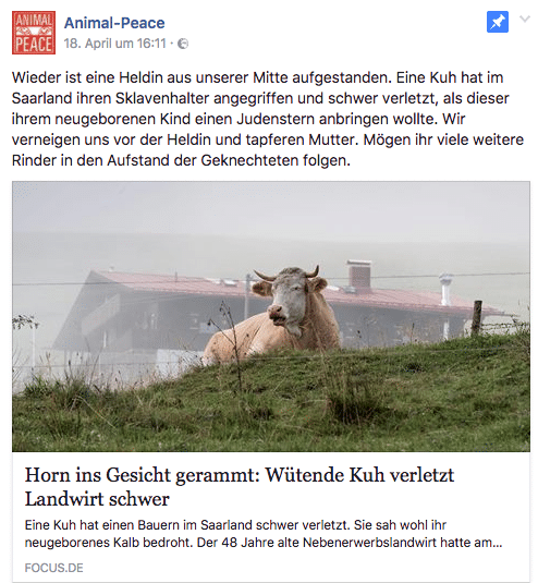 Für Animal Peace ist eine Ohrmarke bei einem Kalb mit dem Judenstern zu vergleichen. Foto: Screenshot Facebook - Animal Peace