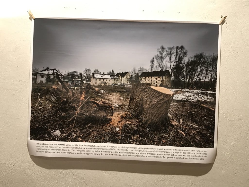 Manchmal wird der Witz gerodet, bevor er überhaupt gepflanzt wird. Foto: om.