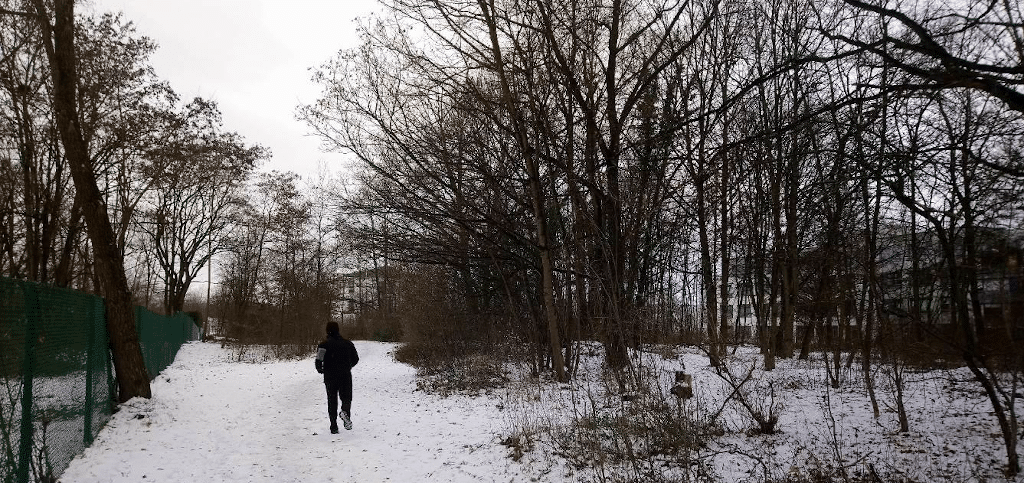 Damit Ihr Wagen nicht zum Biotop wird: Was kann man gegen